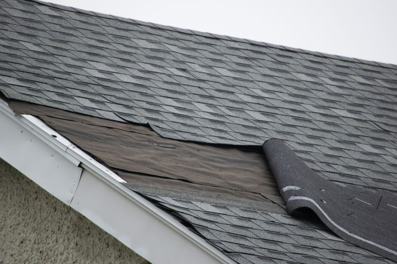 Shingle Replacement Services
